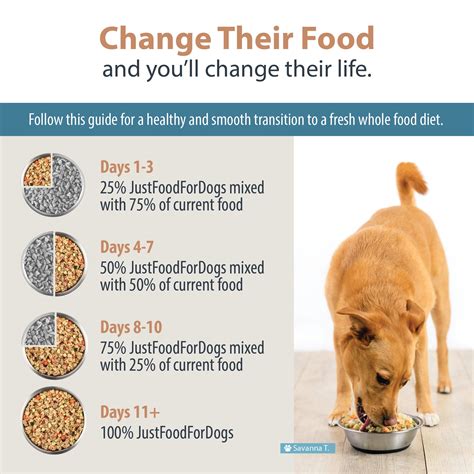 just food for dogs discounts|JustFoodForDogs 